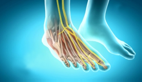 bolsh-nerv bolsh-nerv