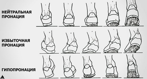 kak-vyibrat-krossovki-dlya-bega-photo-3