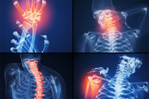 olegaortrit olegaortrit