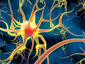 polinevrop2 polinevrop2