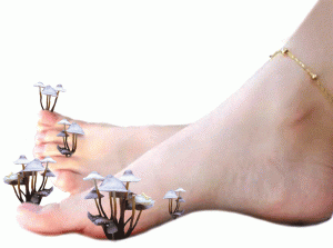 potliv-nog3 potliv-nog3