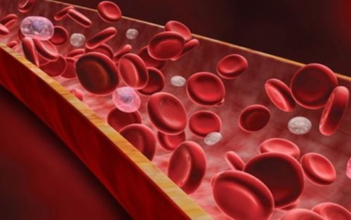 tromb-sosud2 tromb-sosud2